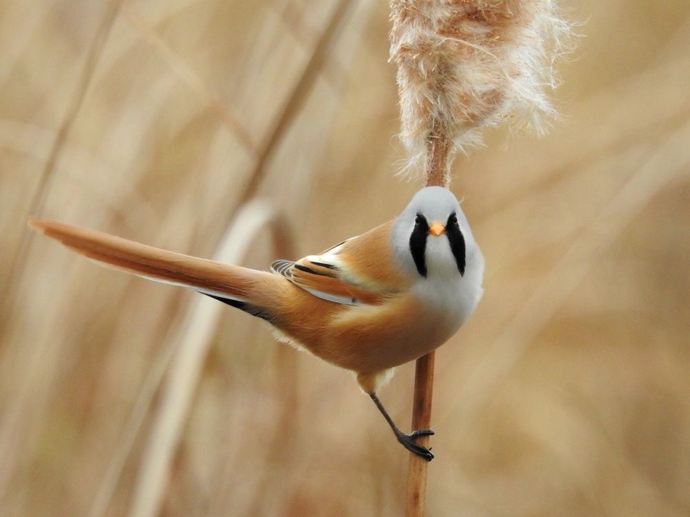 Photograph by Олеся Дейнеко