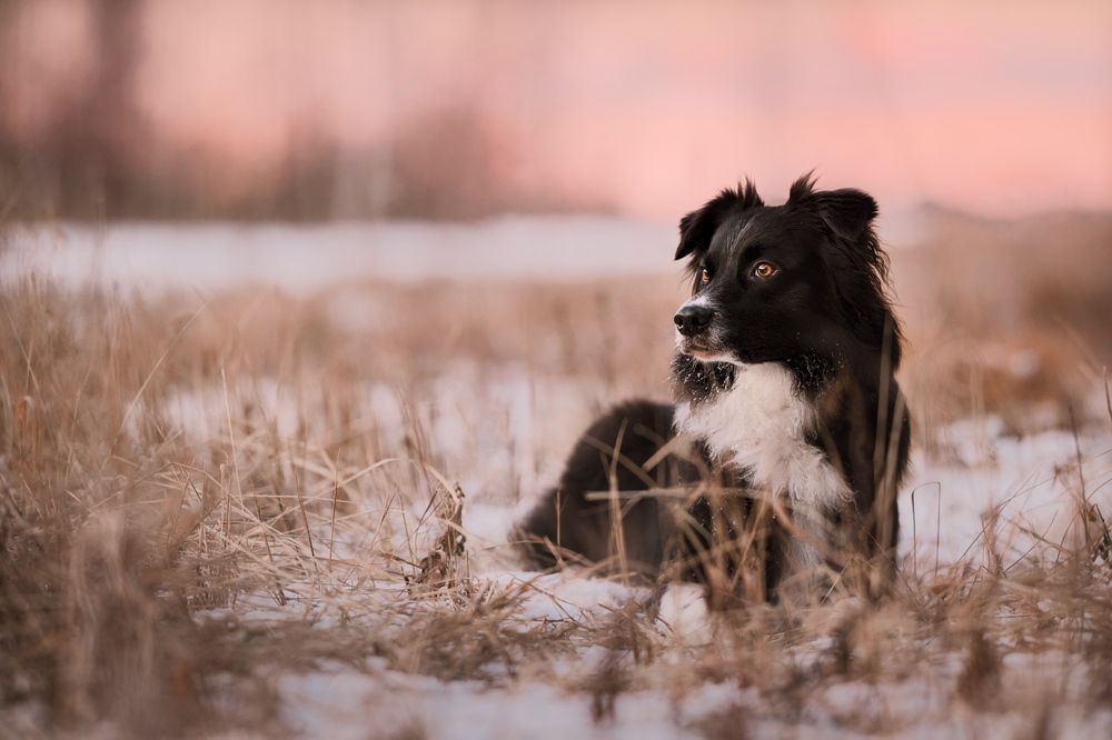 Photograph by Monika Maciejewska