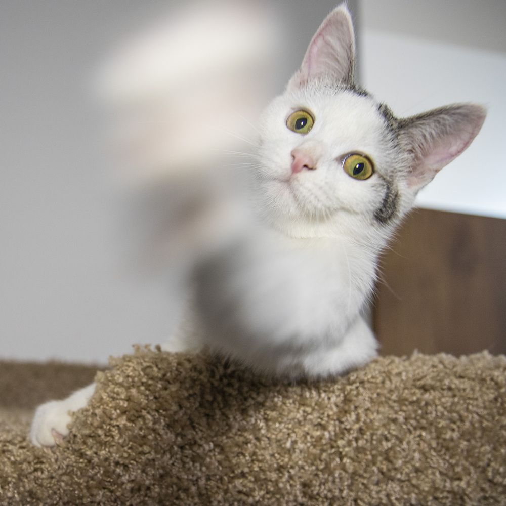 Photograph by Александр Парфенов