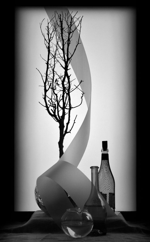 Photograph by Александр Зарх