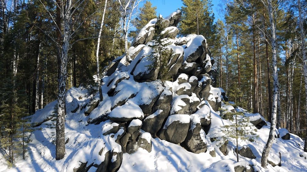 Фотография автора Марков Сергей