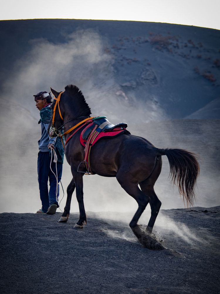 Фотография автора jc tan