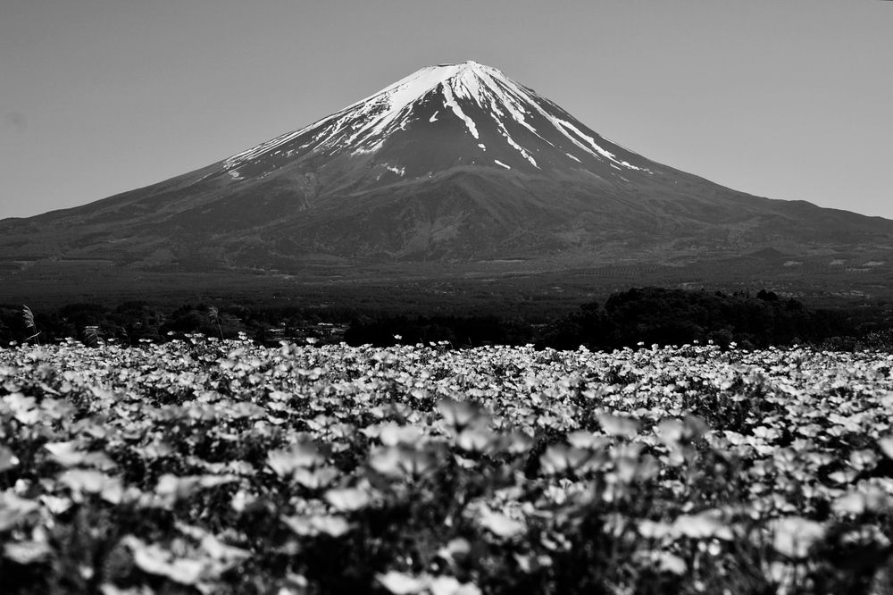 Фотография автора Liudmila Kiermeier