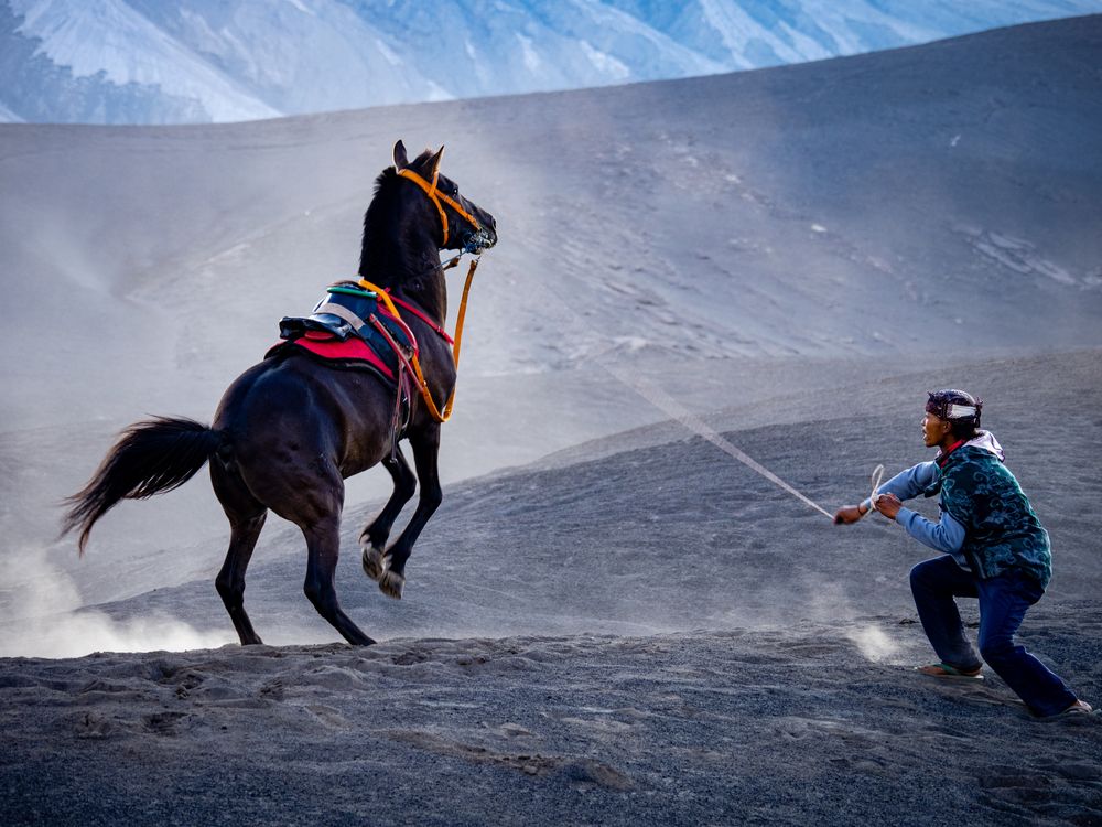 Photograph by jc tan