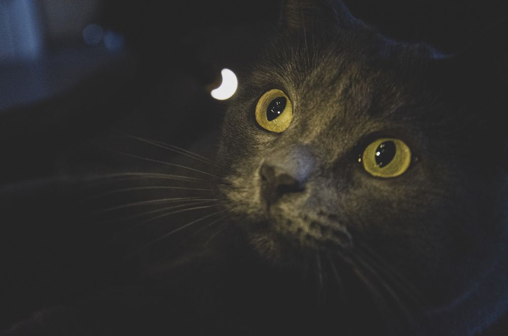 Photograph by Ульяна Бедрицкая