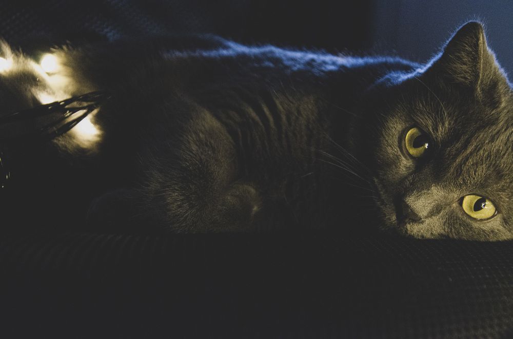 Photograph by Ульяна Бедрицкая