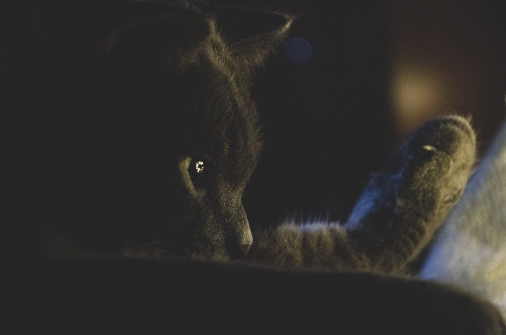 Photograph by Ульяна Бедрицкая