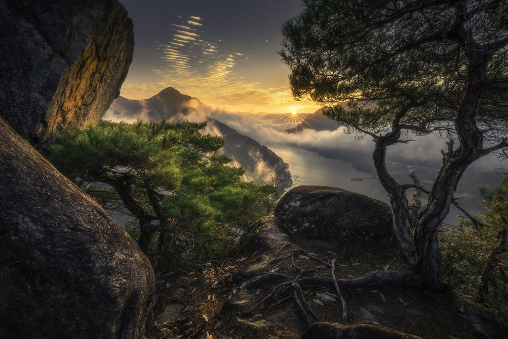 Фотография автора NGUYEN NGOC SON