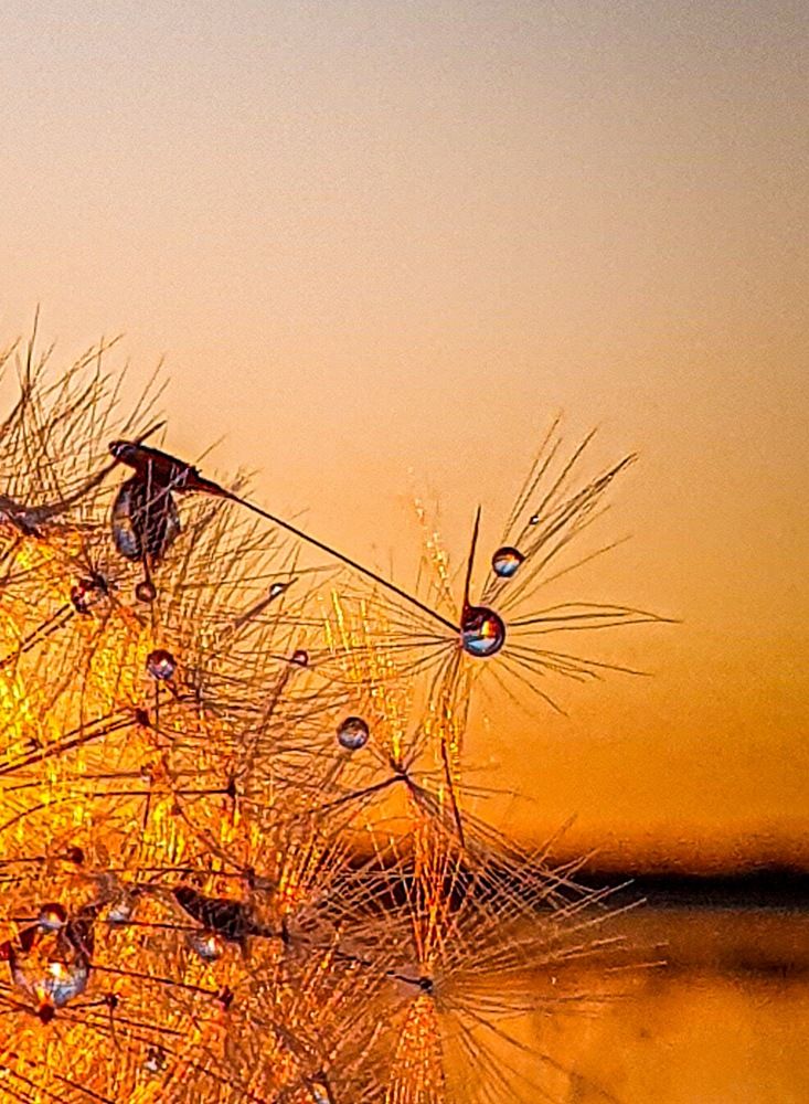 Фотография автора Ольга Шишук