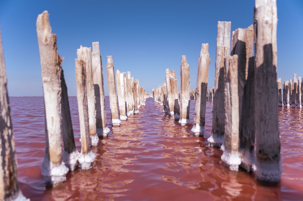 Photograph by Ольга Савкина