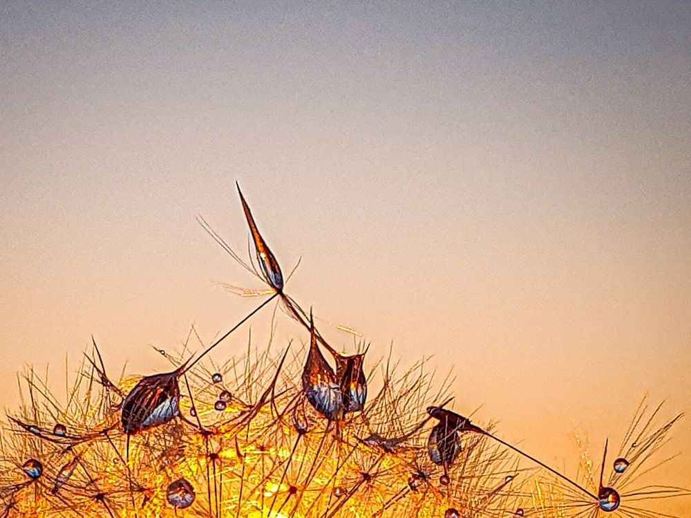 Фотография автора Ольга Шишук