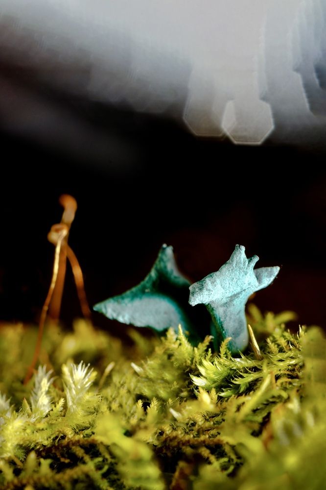 Лесные зверушки.