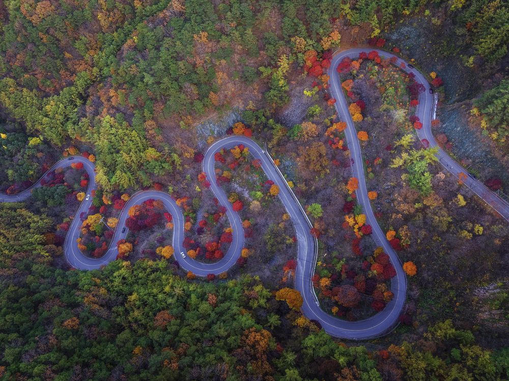 Фотография автора NGUYEN NGOC SON