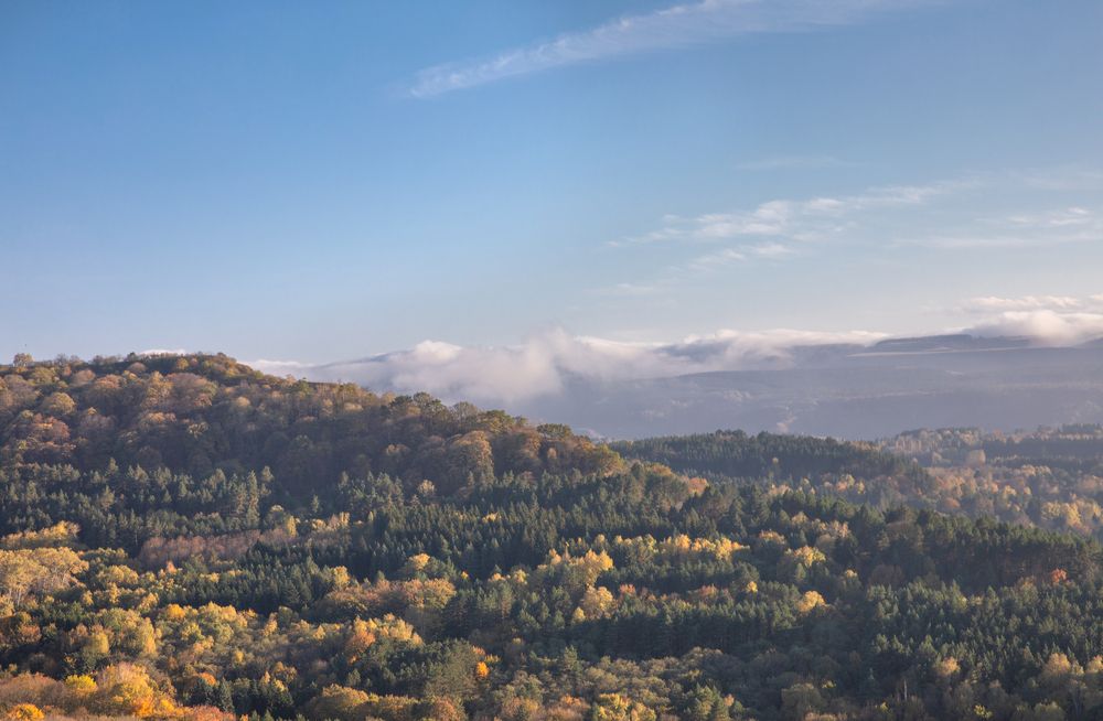 Фотография автора Анна Вигера