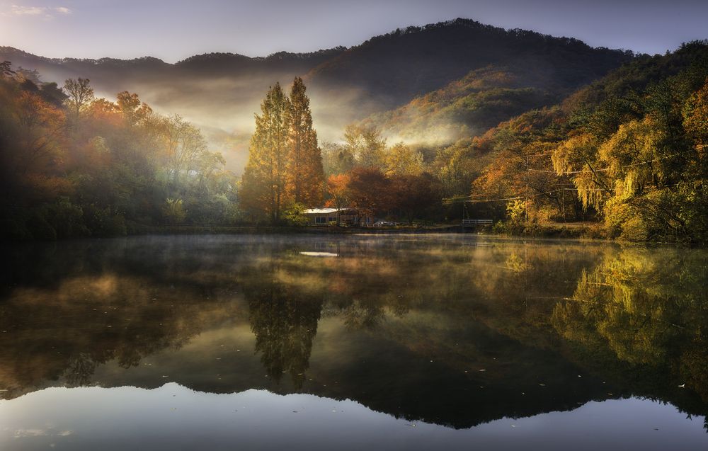 Фотография автора NGUYEN NGOC SON