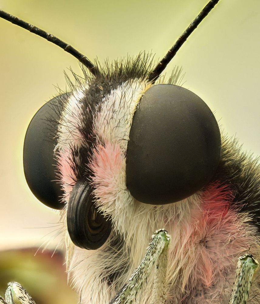 Photograph by Юрий Юрьевич Подгрушный