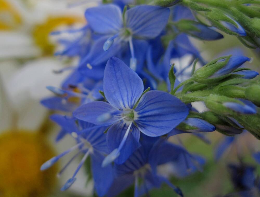 Photograph by Viktoriia Rusanova