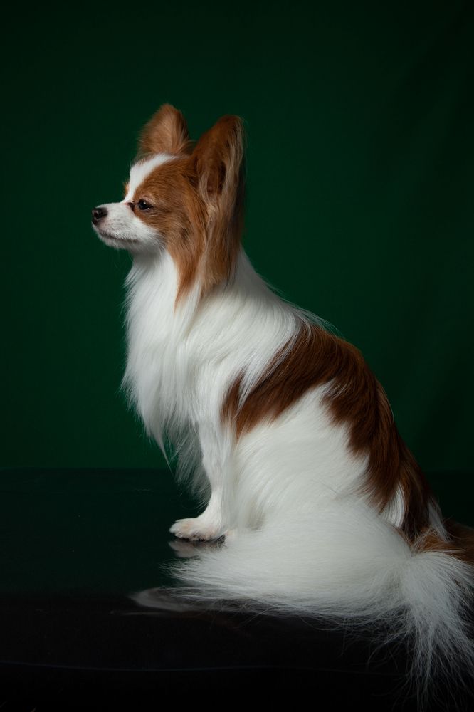 Photograph by Татьяна Арендаренко