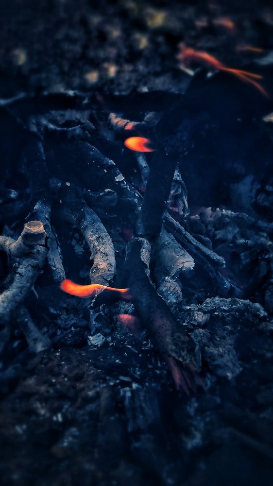 Photograph by Marziyeh Nasiri