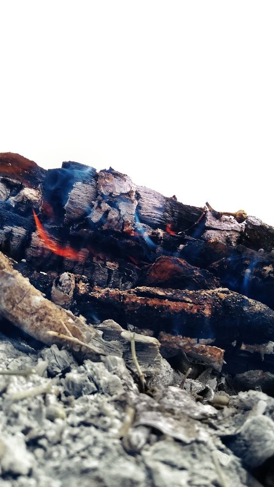 Photograph by Marziyeh Nasiri