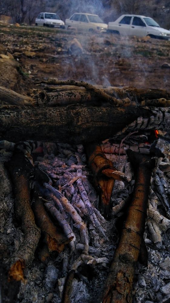 Photograph by Marziyeh Nasiri