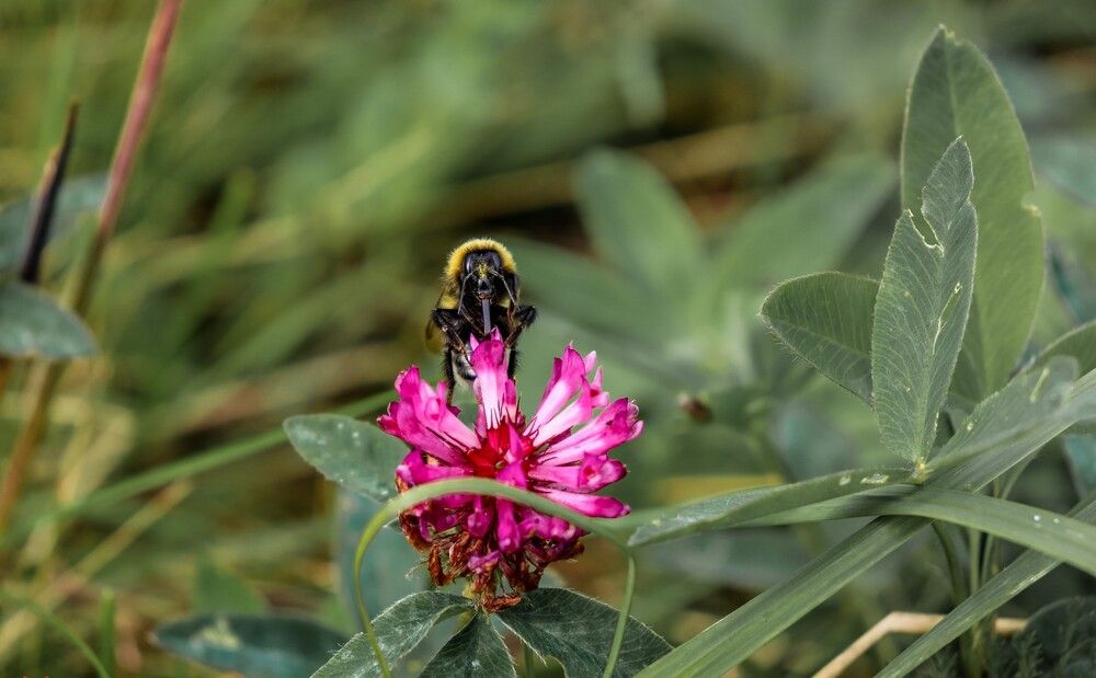 Photograph by Julia Dorofeeva