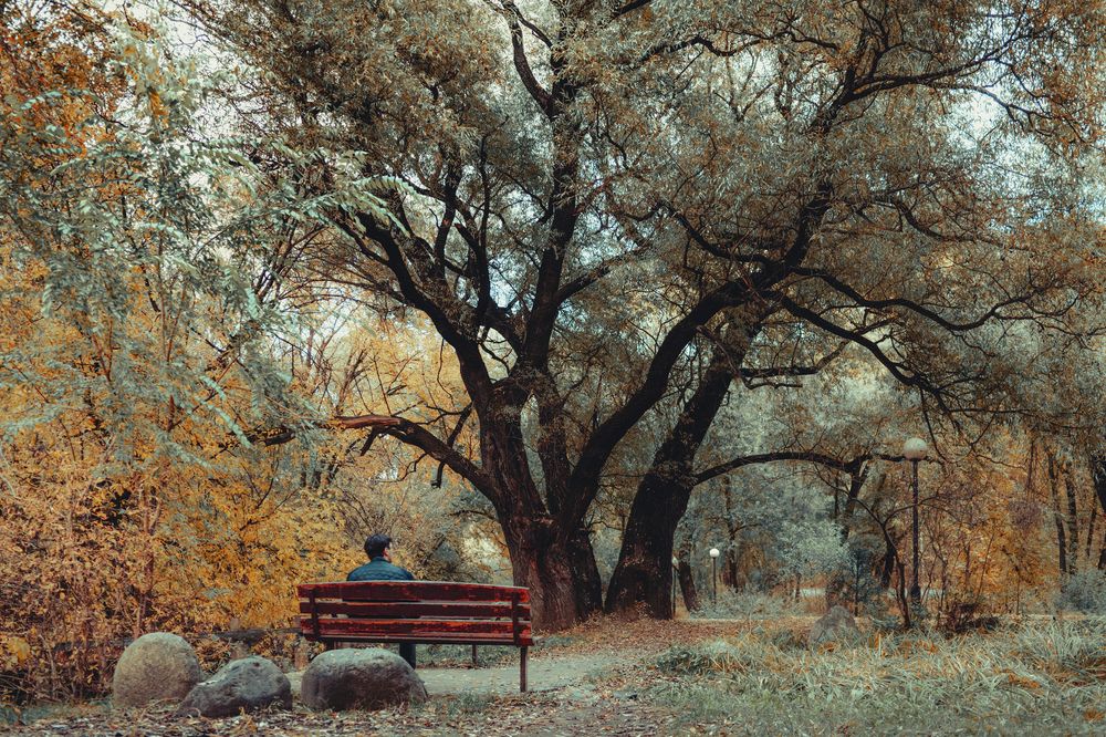 Фотография автора Черников Иван