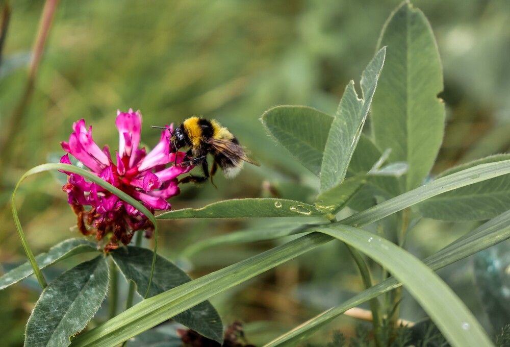 Photograph by Julia Dorofeeva