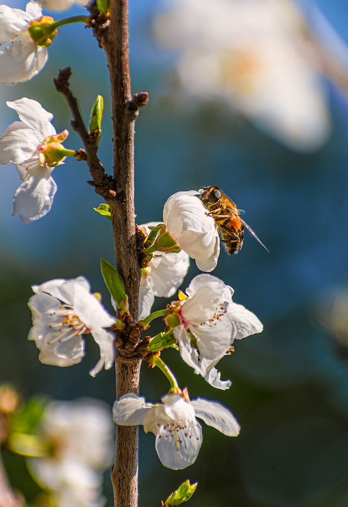 Photograph by Amin Eksiri
