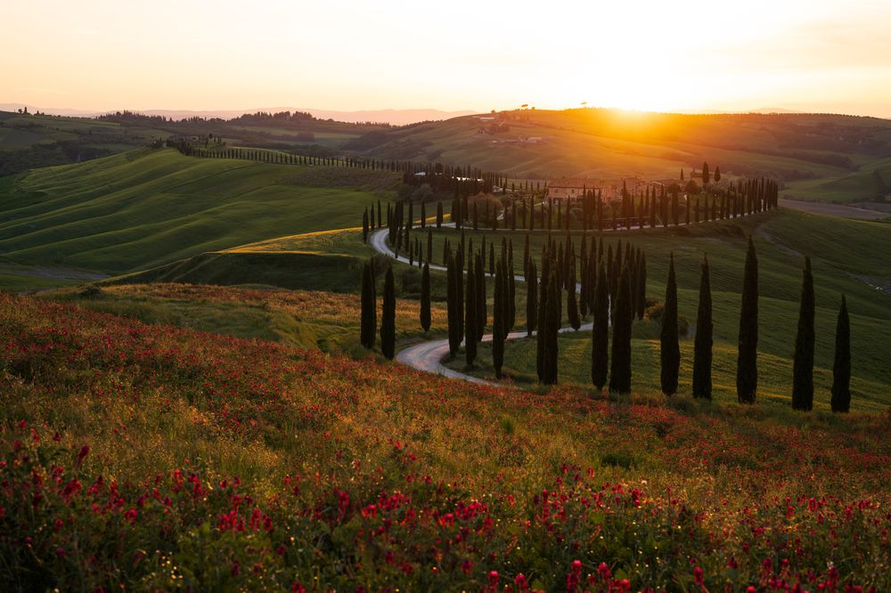 Photograph by Erika Kadíková