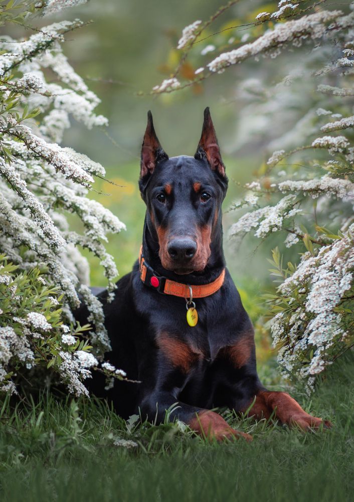 Photograph by Екатерина Лебедева