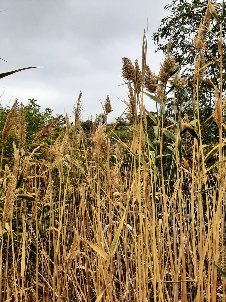 Photograph by Анастасия Якубовская