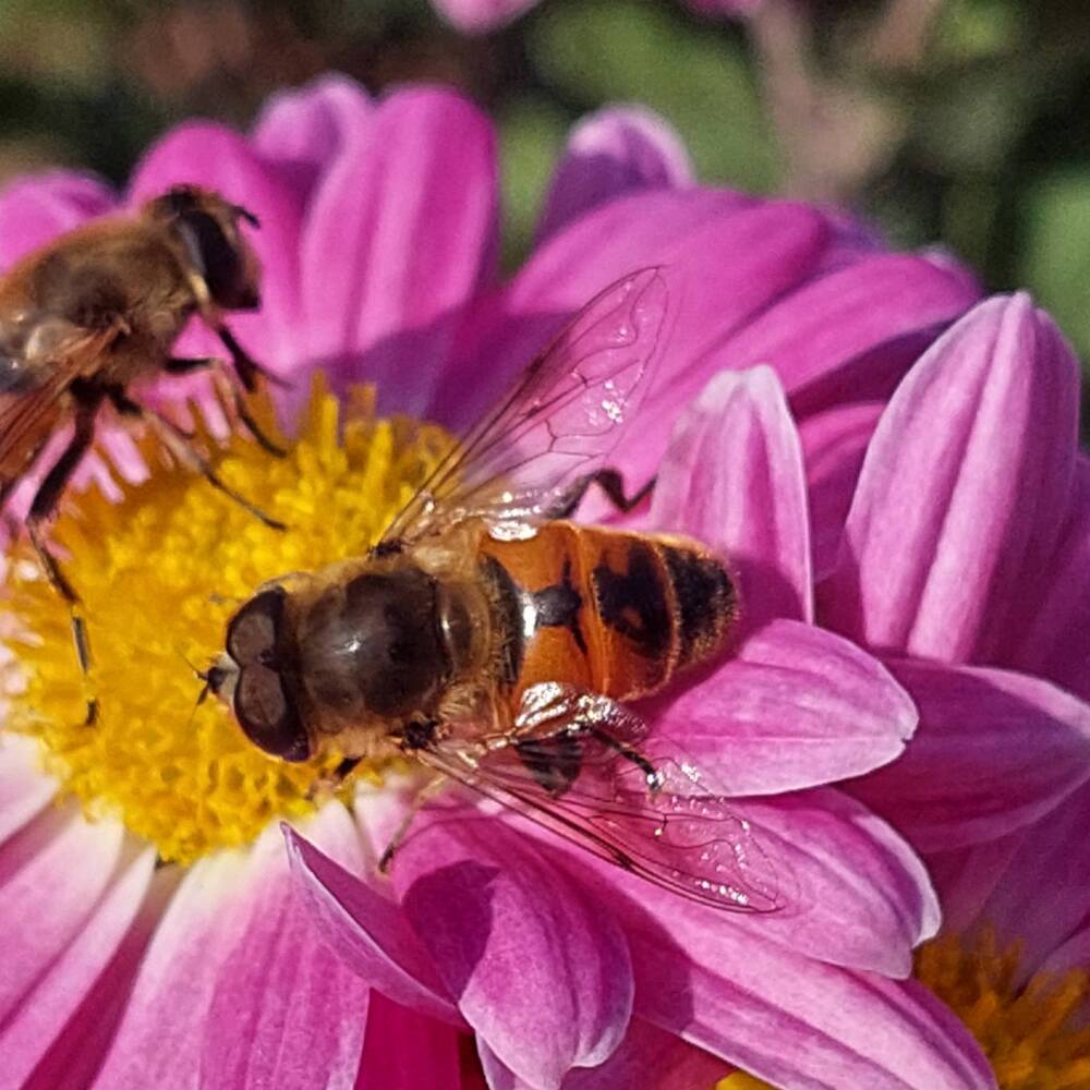 Photograph by Svitlana Usatenko