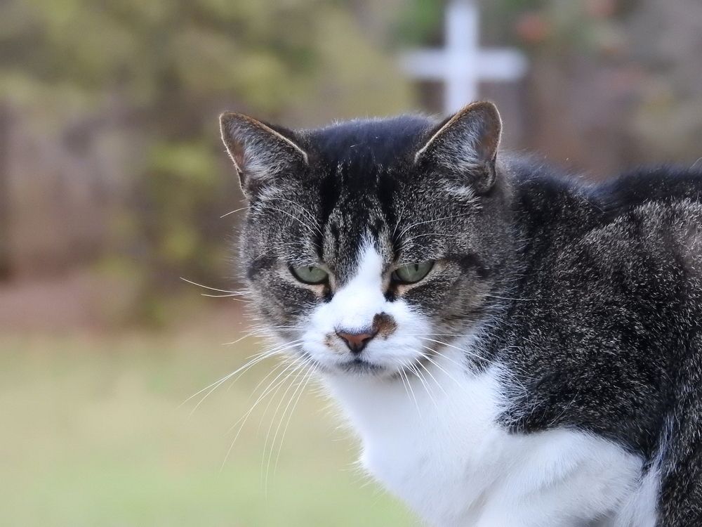 Photograph by Josée Beauchemin