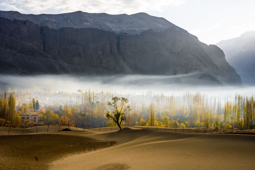 Photograph by Fassi Farooq