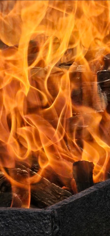 Photograph by Елизавета Лемешко