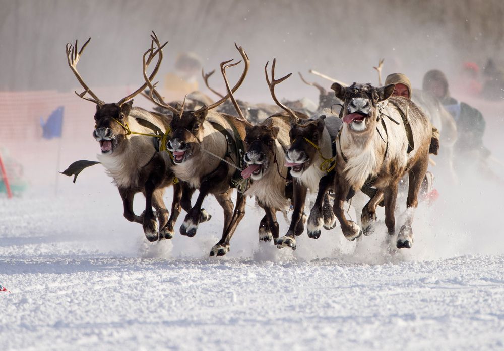 Photograph by Viktoriya Kim