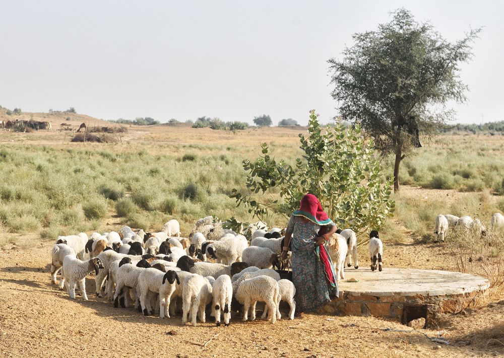 Photograph by Kaushik Dolui