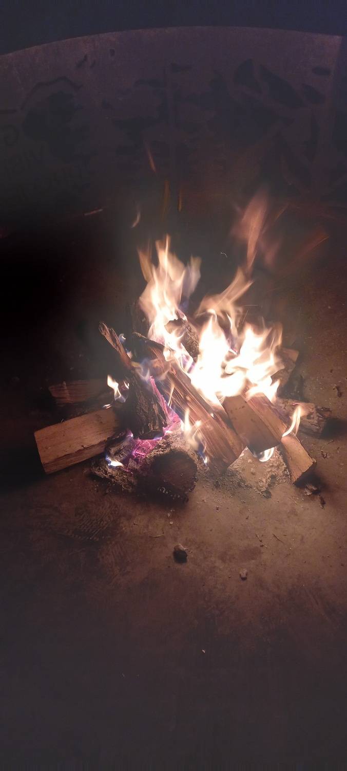 Photo #11974994