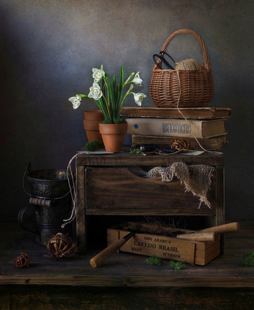 Snowdrops/Подснежники