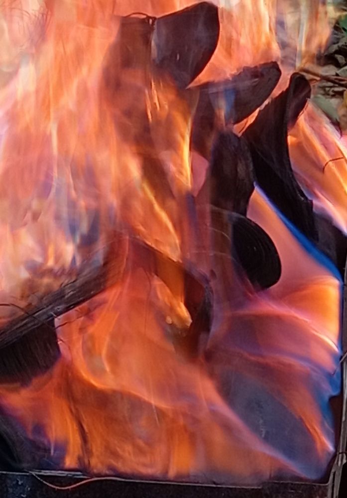 Photograph by Елена Коробченко