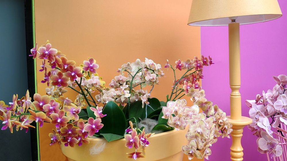 Photograph by Владимир Лобанов