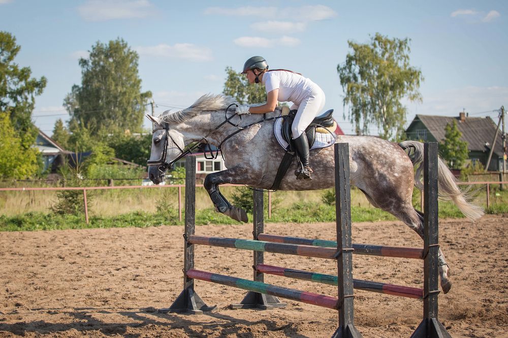 Photograph by Ольга Мазурова