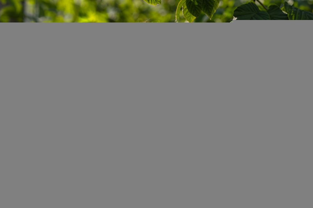 Photograph by Елена Стрелова