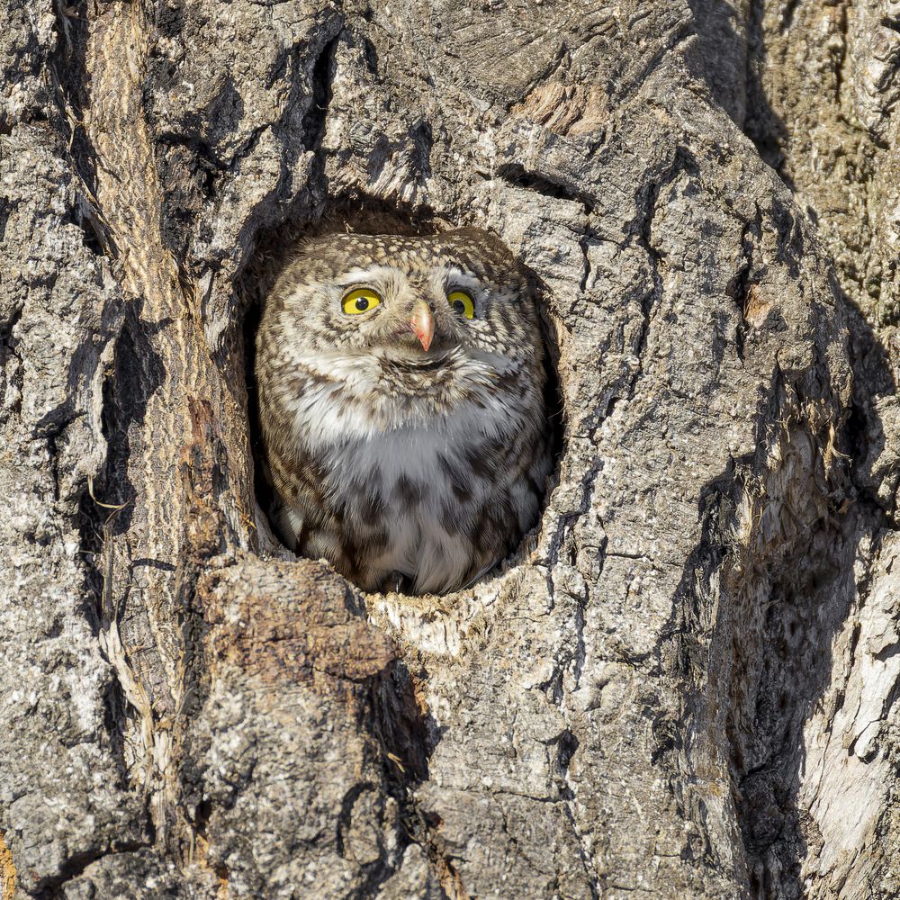 Photograph by Руслан Pl