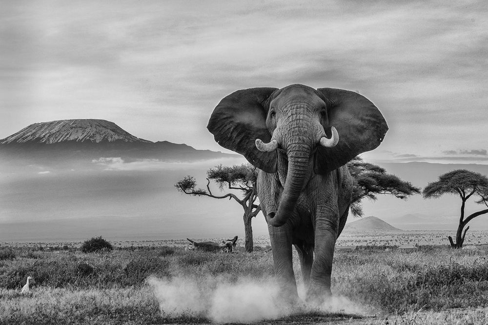 Photograph by Karthick Sridharan