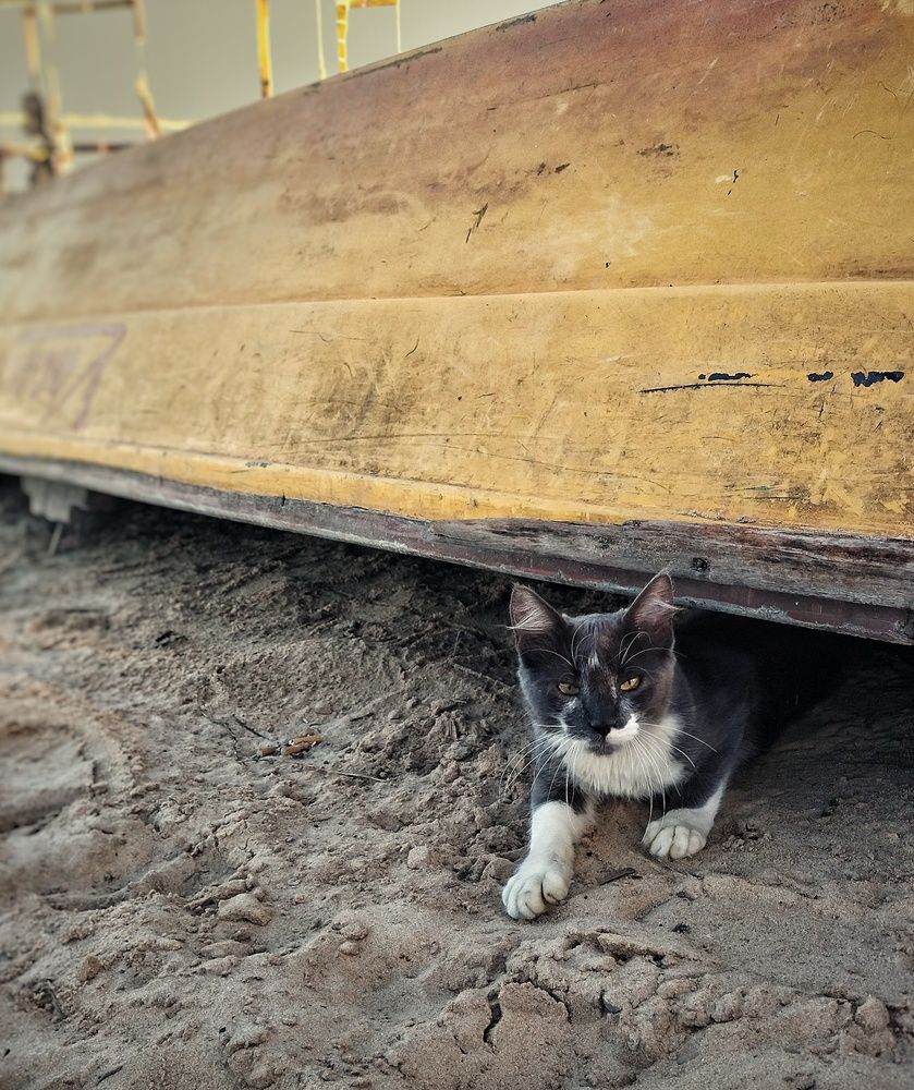 Photograph by Yana Borgia