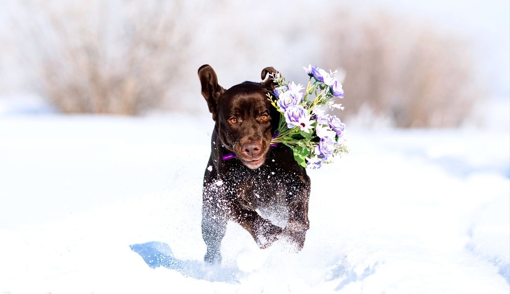 Photograph by Дарья