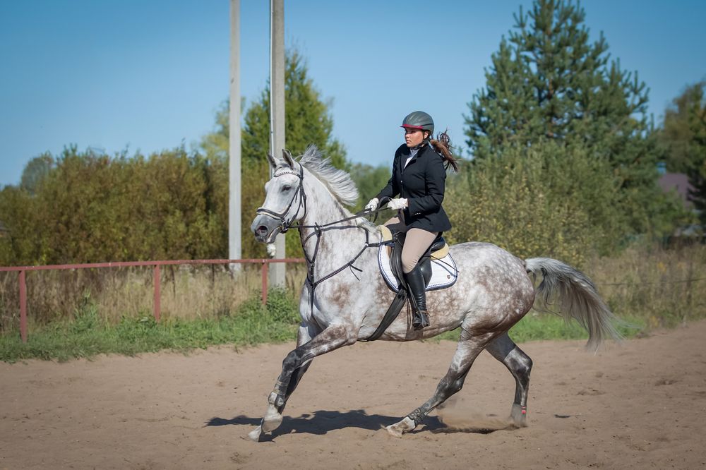 Photograph by Ольга Мазурова