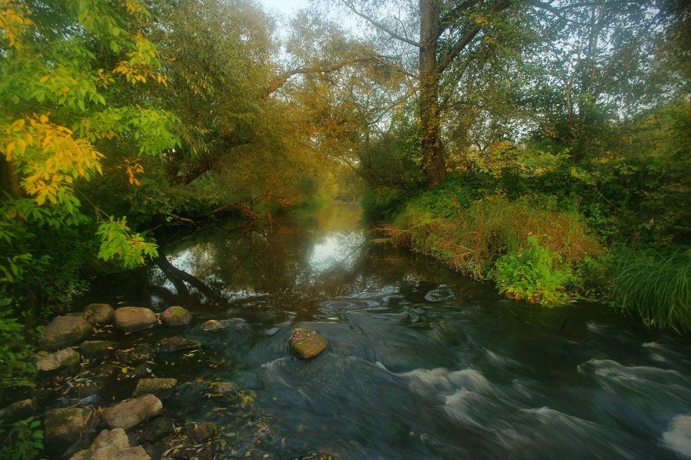Photograph by Андрей Михайлов